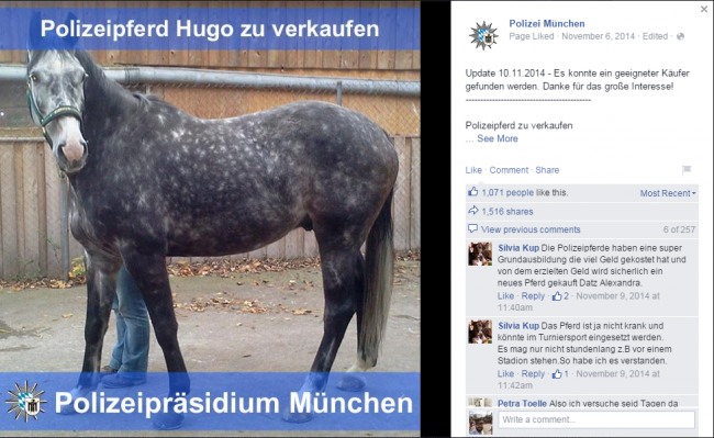 Facebookposting Pferd Hugo