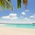 Strand mit Palmen, weißem Sand, türkisblauem Meer, ein paar Quellwolken und einem Boot im Wasser